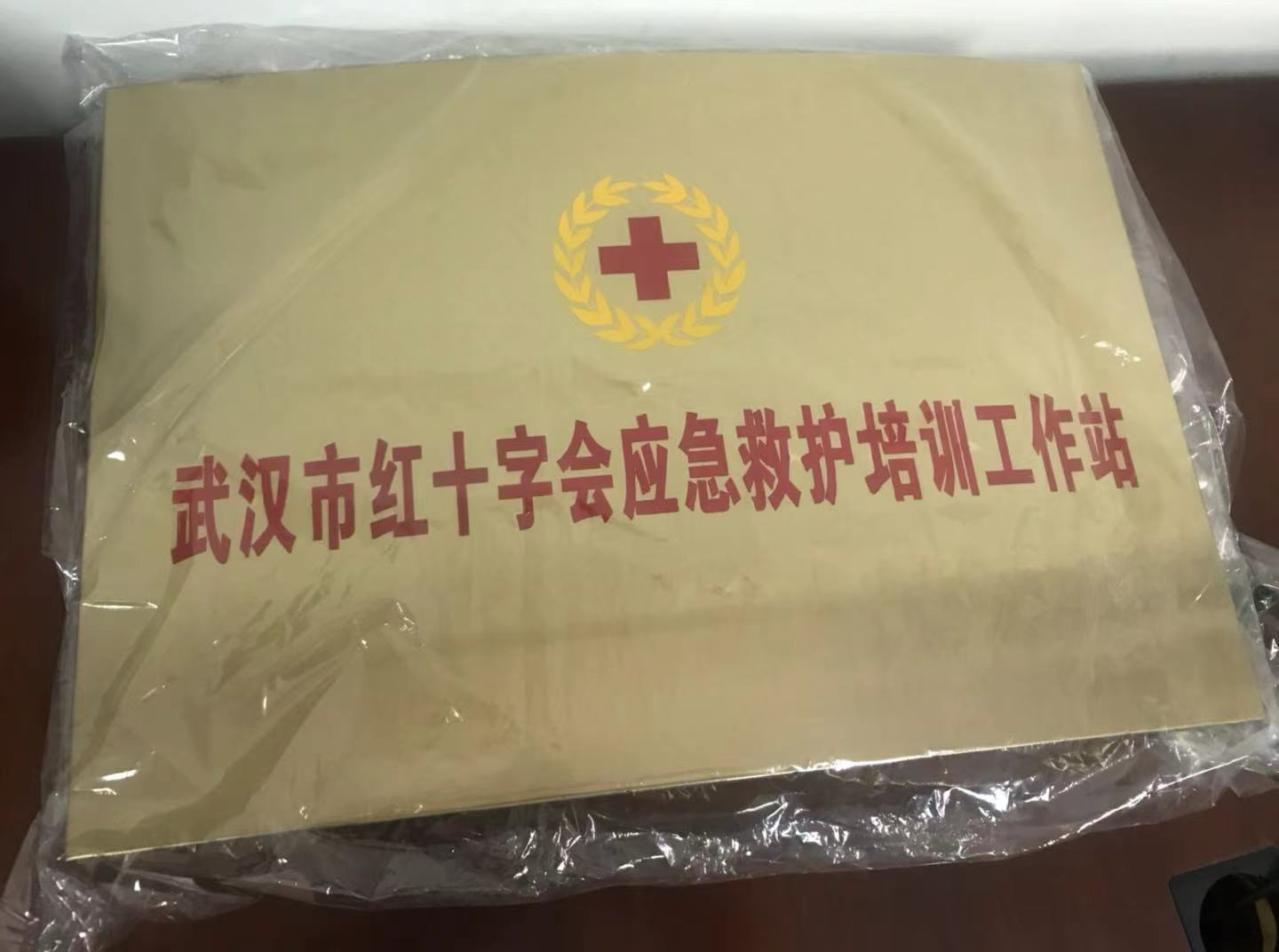 红十字应急救护知识（4101教室）课程封面