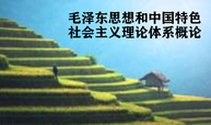 毛泽东思想和中国特色社会主义理论体系概论课程封面