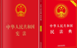 特色选修课宪法及民法典2024课程封面