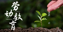 劳动教育课程封面