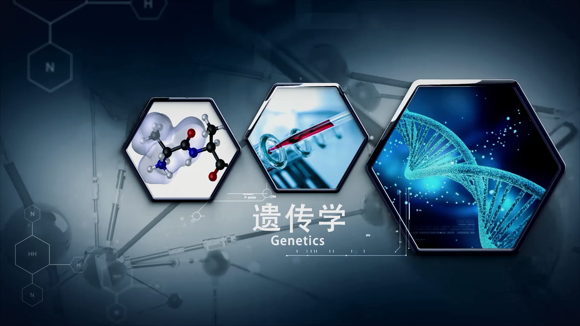 遗传学课程封面