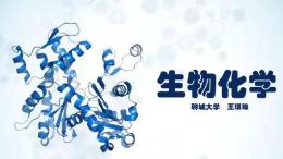 生物化学（山东联盟-聊城大学）课程封面