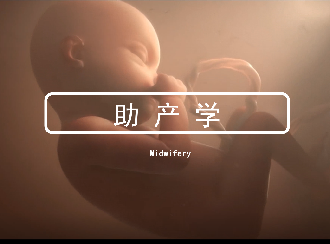 助产学（高职）课程封面
