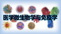 医学微生物学与免疫学课程封面