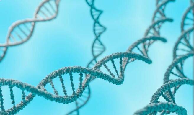 生物化学课程封面