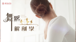 舞蹈解剖学课程封面